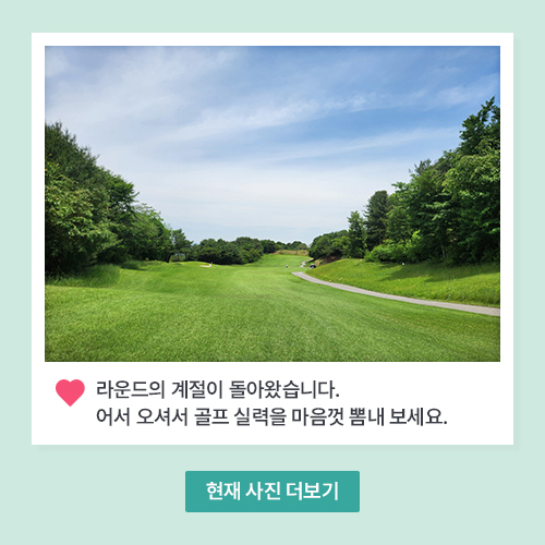 아도니스 현재 코스 사진