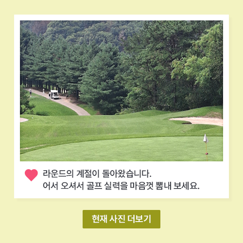 아도니스 현재 코스 사진