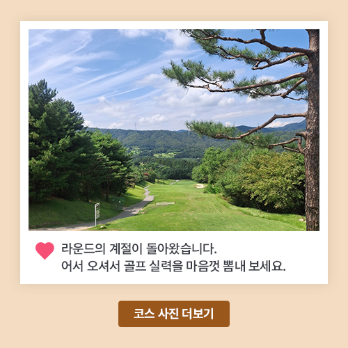 아도니스 현재 코스 사진