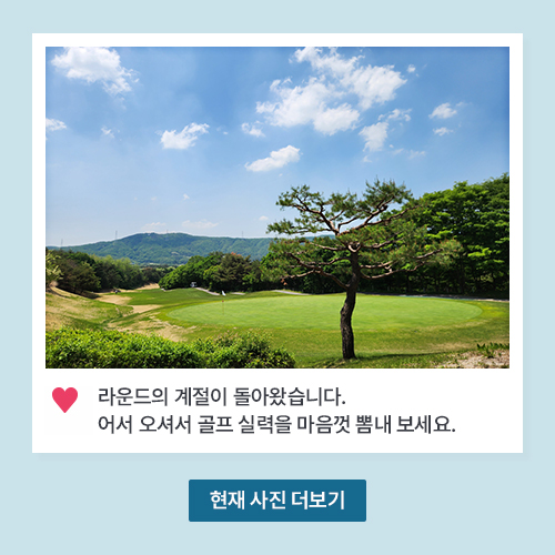 아도니스 현재 코스 사진