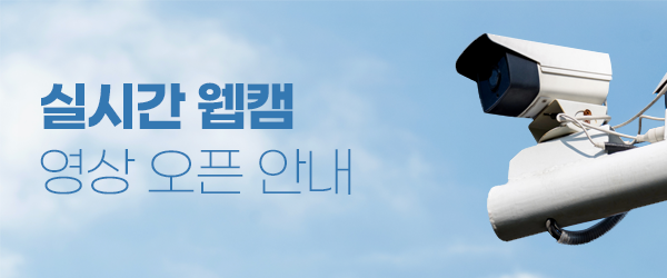 실시간 웹캠 영상 오픈 안내
