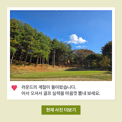 아도니스 코스 사진