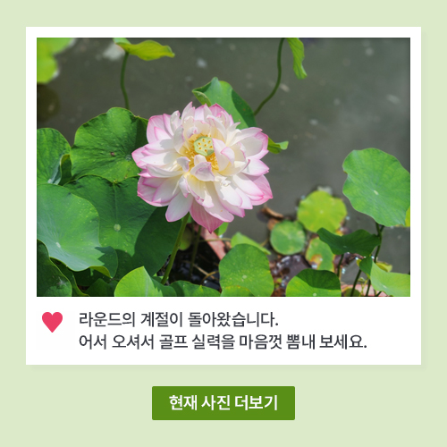 아도니스 코스 사진