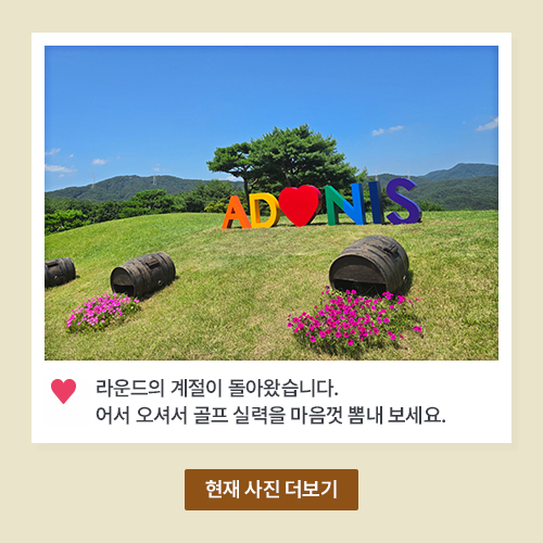아도니스 코스 사진