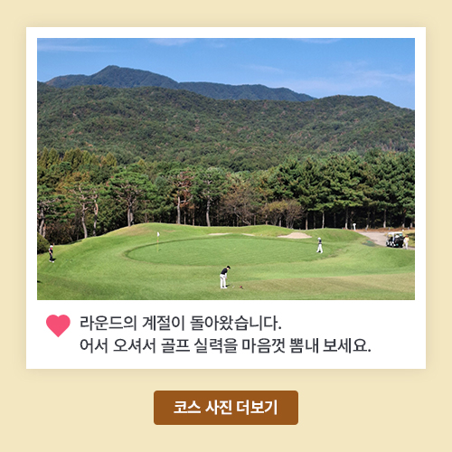 아도니스 현재 코스 사진
